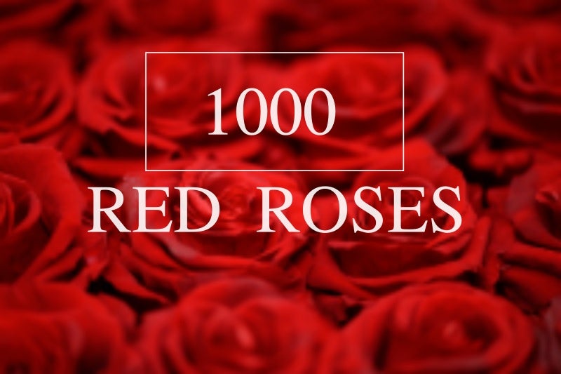 1000 Red Roses